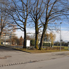 DSC_0270.JPG