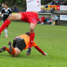IMG_8647.jpg
