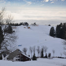 DSC_3670.JPG