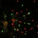IMG_6279.jpg
