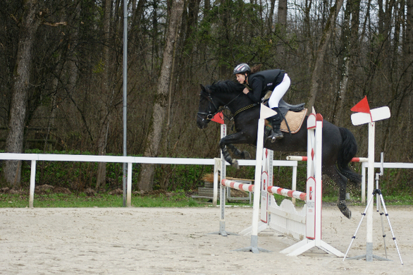 DSC05940_jpg-1270410297