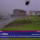Livecam Faschina-Fontanella