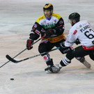 IMG_2825.jpg