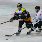 IMG_2826.jpg