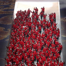IBD0959-20140207.jpg