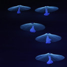 4a24b66aaa8b47c99af44f2714269cb4-4a24b66aaa8b47c99af44f2714269cb4-0.jpg
