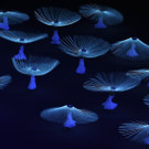 b4cea2cd6772414b86d60cc8a27d04e3-b4cea2cd6772414b86d60cc8a27d04e3-0.jpg