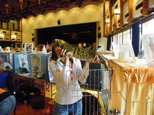 Bild 909_jpg-1270452803
