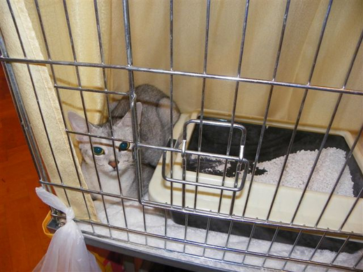 Bild 883_jpg-1270452785