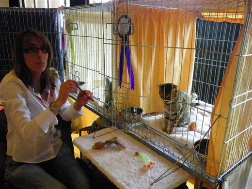 Bild 914_jpg-1270452809