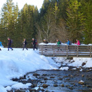 ber die Br__cke2.JPG