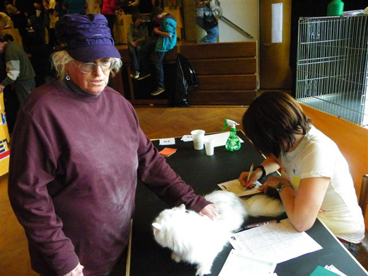 Bild 1049_jpg-1270452864