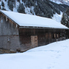 IMG_9928.JPG