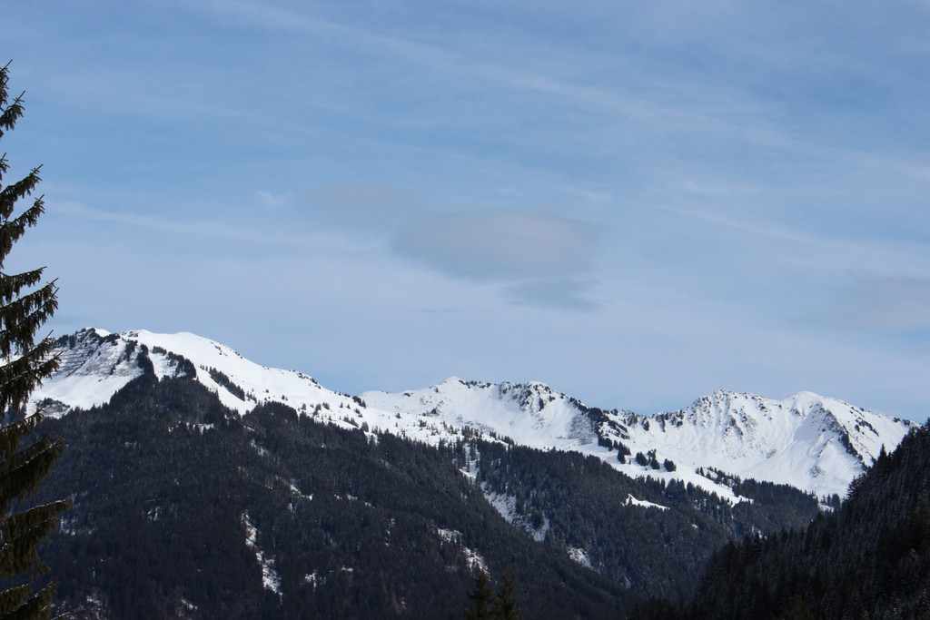 IMG_9920.JPG