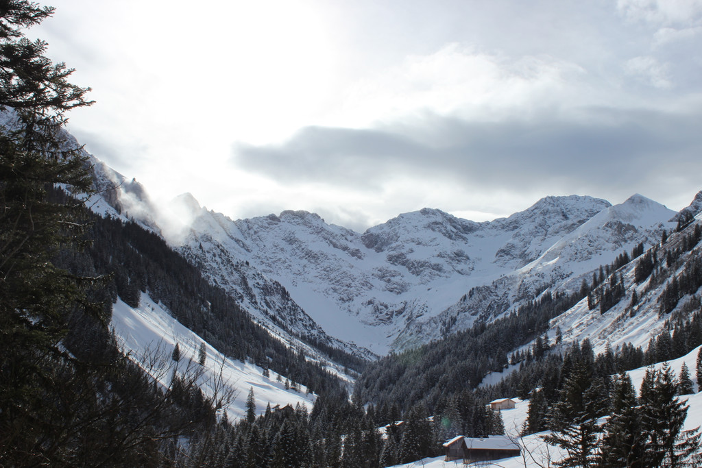 IMG_9910.JPG