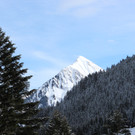 IMG_9907.JPG
