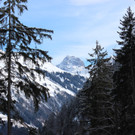 IMG_9903.JPG