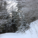 IMG_9890.JPG