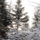 IMG_9887.JPG