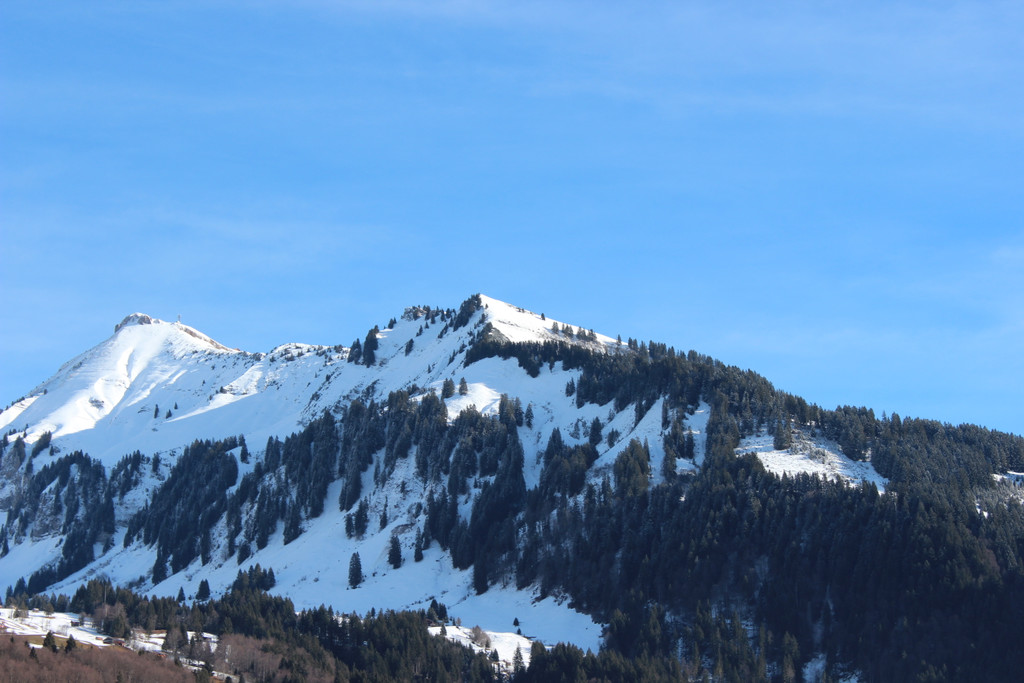 IMG_9872.JPG
