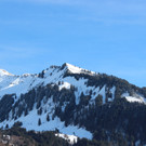 IMG_9872.JPG