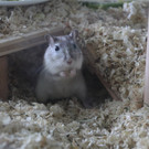 BK_Formatio_Tag der offenen Tu__r 2014 22.JPG