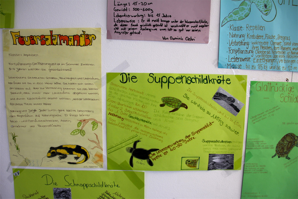 BK_Formatio_Tag der offenen Tu__r 2014 101.JPG