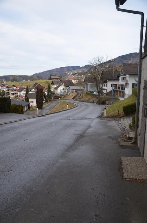 DSC_3996.JPG