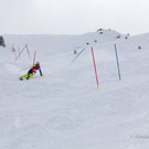 20140209_SwissSki_023.jpg