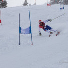 20140209_SwissSki_060.jpg