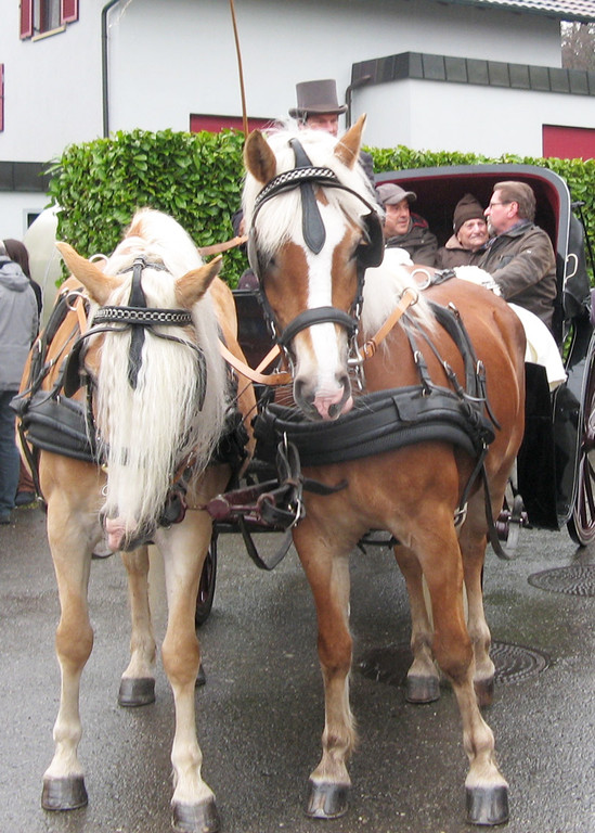 Kutschenfahrt.jpg