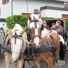 Kutschenfahrt.jpg