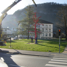 Mehr Bilder des roten Baumes