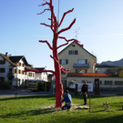 DSCN0740_JPG-1270538429