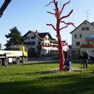 DSCN0741_JPG-1270538447