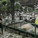 DAB1248-20120313.jpg