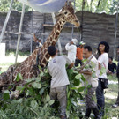 DAB0687-20120303.jpg