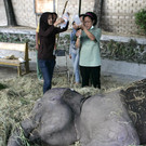 DAB1764-20110726.jpg