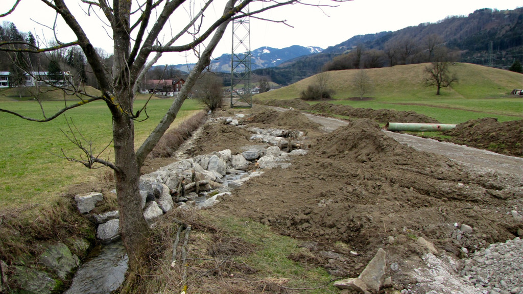 KOE_Renaturierung Bolabach 201402 22.jpg