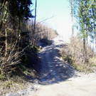 100_9168_jpg-1270545007