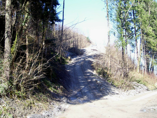 100_9168_jpg-1270545007