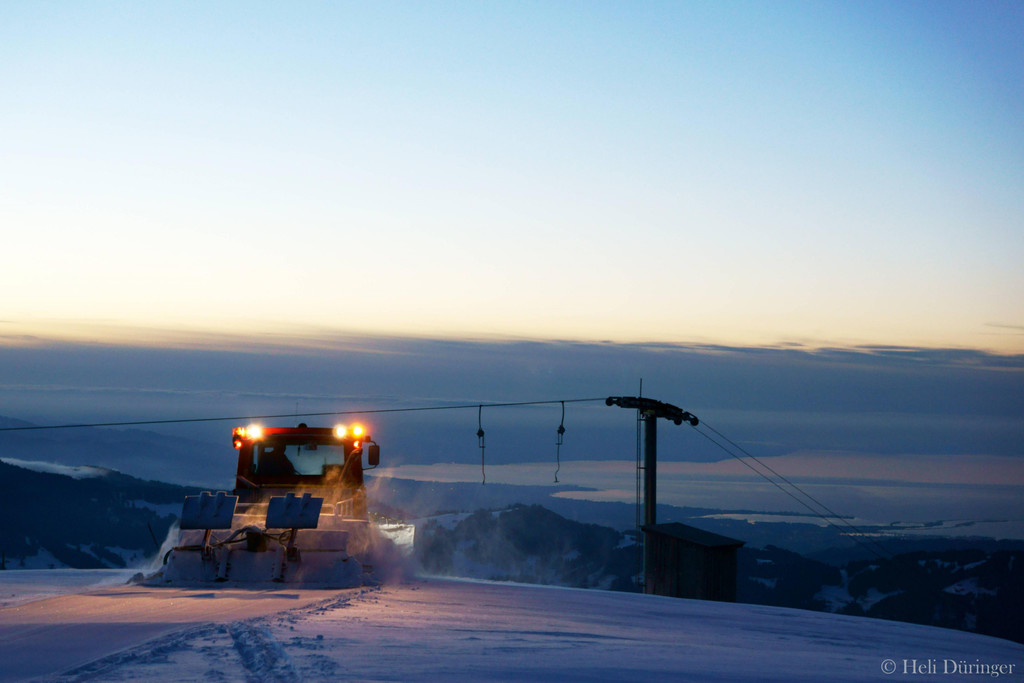 DSC03419 _1_.JPG