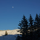 DSC03388.jpg