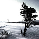 DSC03413.jpg