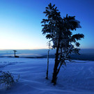 DSC03416.jpg