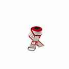 ac stripe belt_main _Large_.jpg