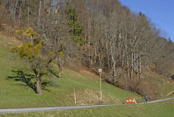 _DSC05650002_1_JPG-1270564678