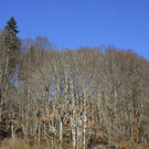 _DSC05790001_1_JPG-1270564786