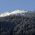 _DSC05250001_1_JPG-1270564507