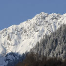 _DSC05350004_1_JPG-1270564855